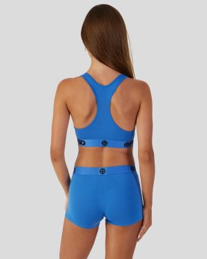 Modal Solids – Blueberry