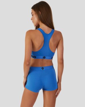 Modal Solids – Blueberry